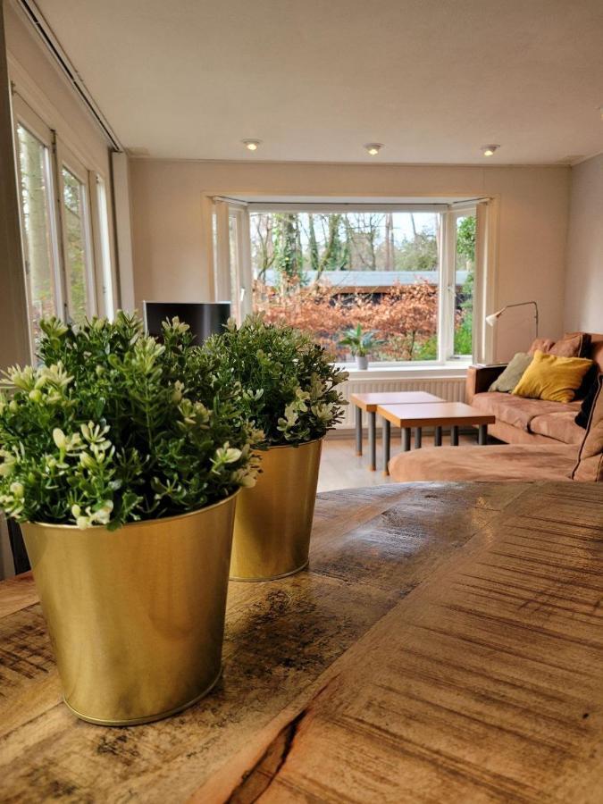Chalet L2 Dennenrhode Doornspijk Dış mekan fotoğraf